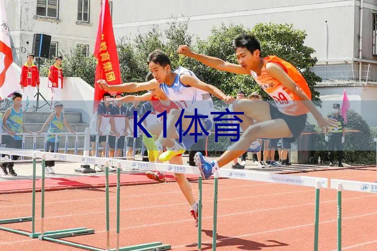 2米宽人造草坪机器